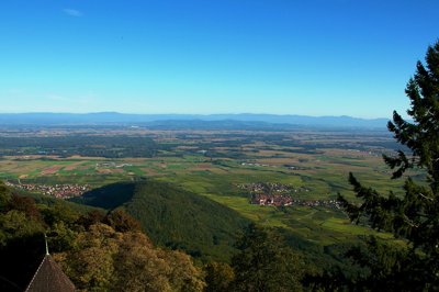Vignes d'Alsace_5056582626_l.jpg